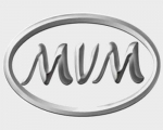 کفپوش ژله ای ام وی ام ایکس ۳۳ اس mvm x33 S