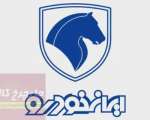 کفپوش صندوق لاستیکی دنا پلاس